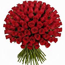 Букет Красные розы Чери Лав в Таширово
