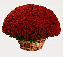 Премиум букет из: Розы в Таширово